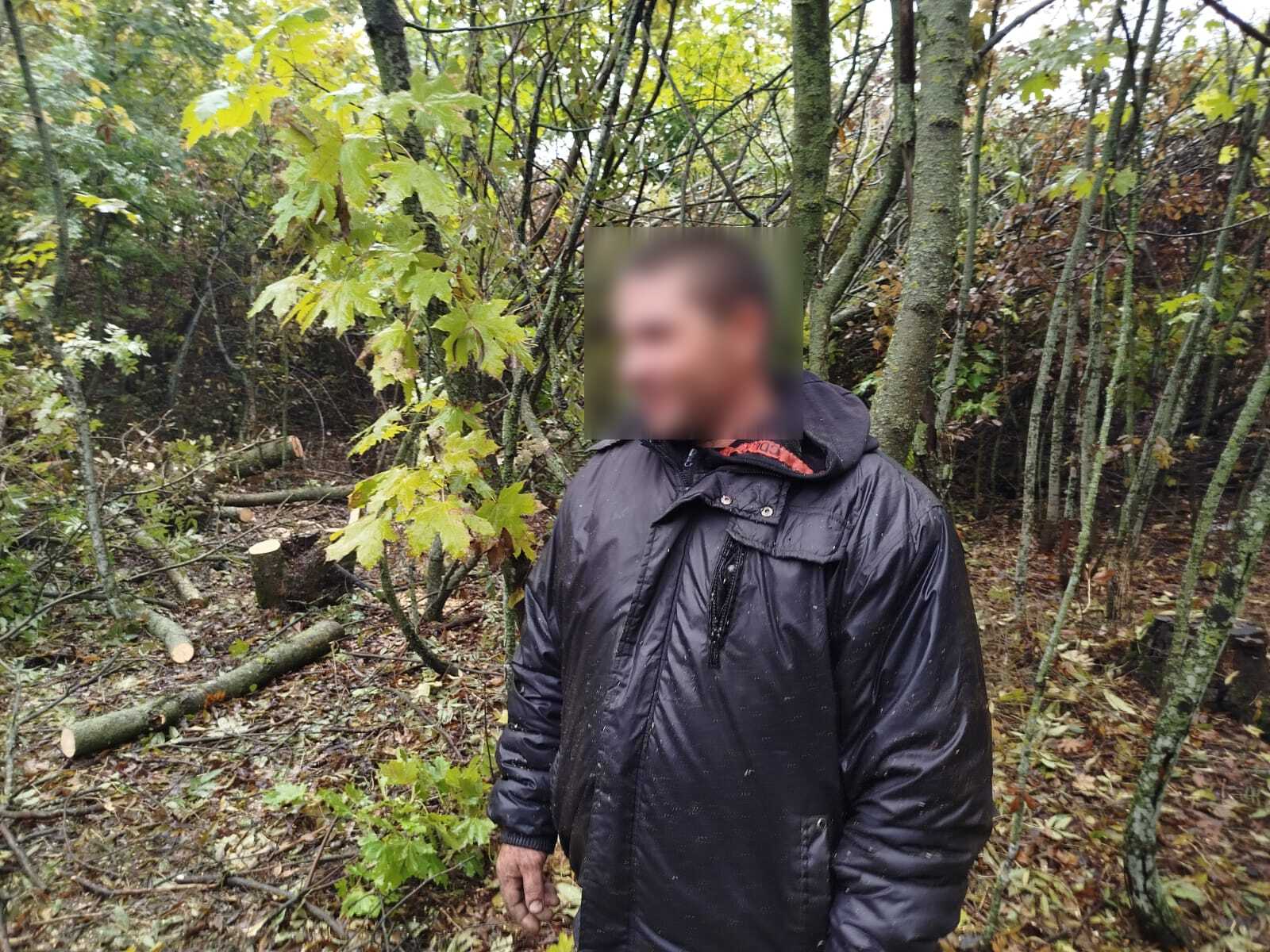 Незаконная вырубка деревьев в Одесской области: нарушителей привлекли к ответственности