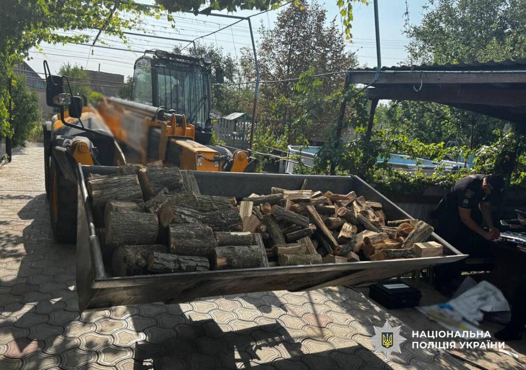Нарубили деревьев на 600 тысяч гривен: в Одесской области будут судить двух мужчин