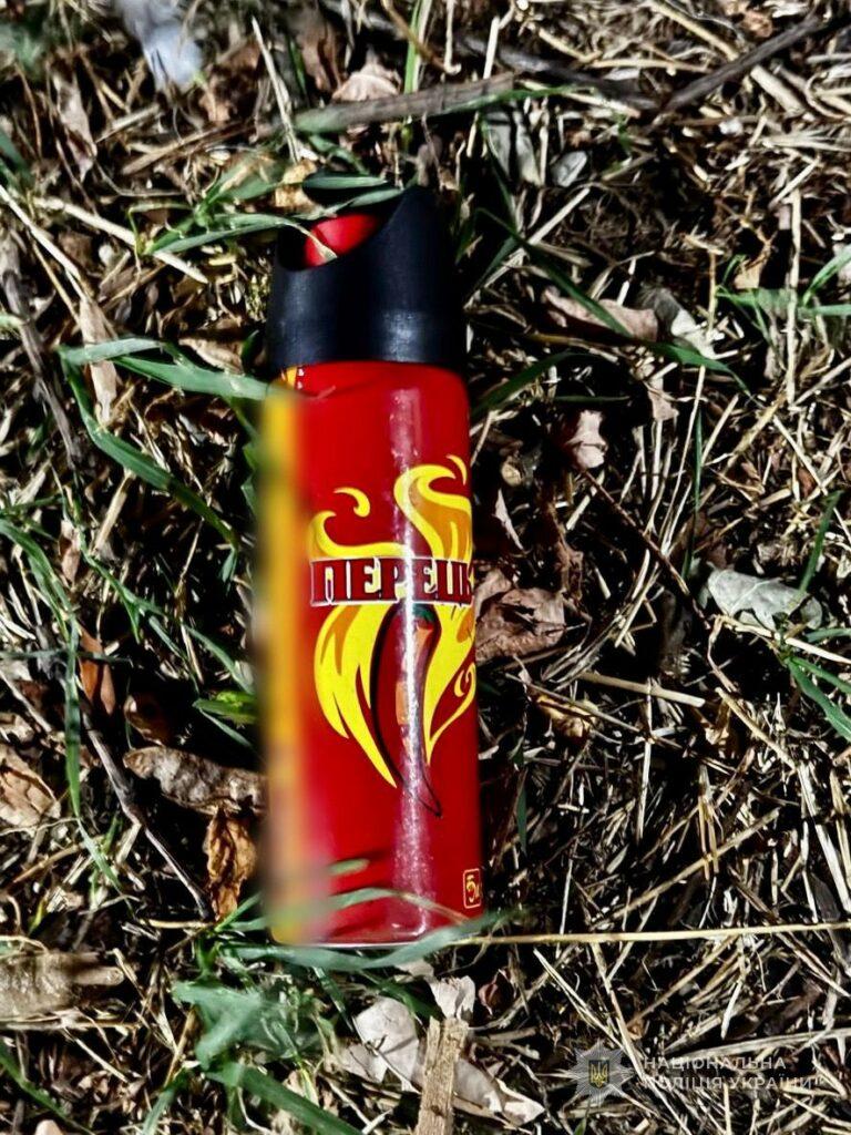У Південному судитимуть чоловіка, який пограбував магазин і розпилив газ в обличчя поліцейському