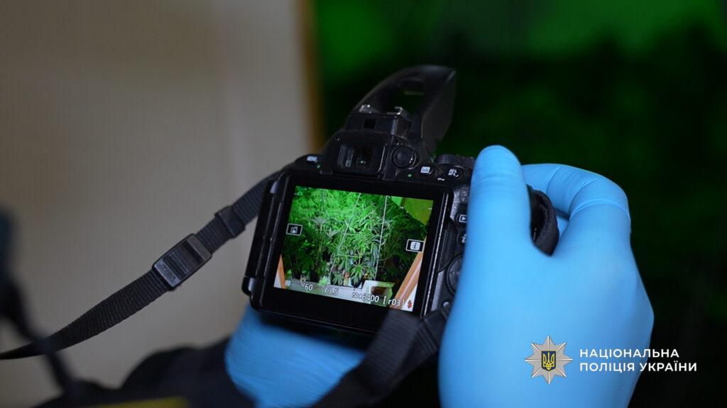 Канабісу на мільйон гривень: в Одесі викрили масштабне підпільне виробництво наркотиків Канабісу на мільйон гривень: в Одесі викрили масштабне підпільне виробництво наркотиків