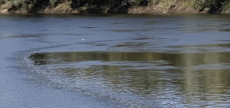На Одещині з річки Кучурган дістали тіло чоловіка, а в Хаджибейському лимані тривають пошуки зниклих рибалок
