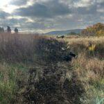 WhatsApp Image 2025-10-24 at 10.58.36 (1)