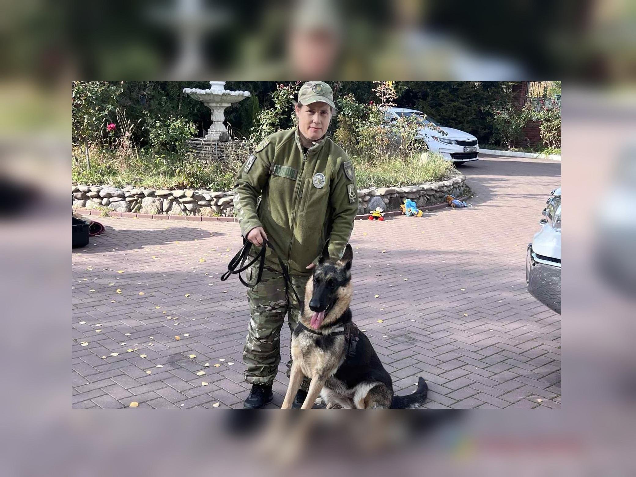 Поліцейські собаки, які лікують душі: у кінологічному центрі Одещини допомагають відновлювати спокій і віру в життя