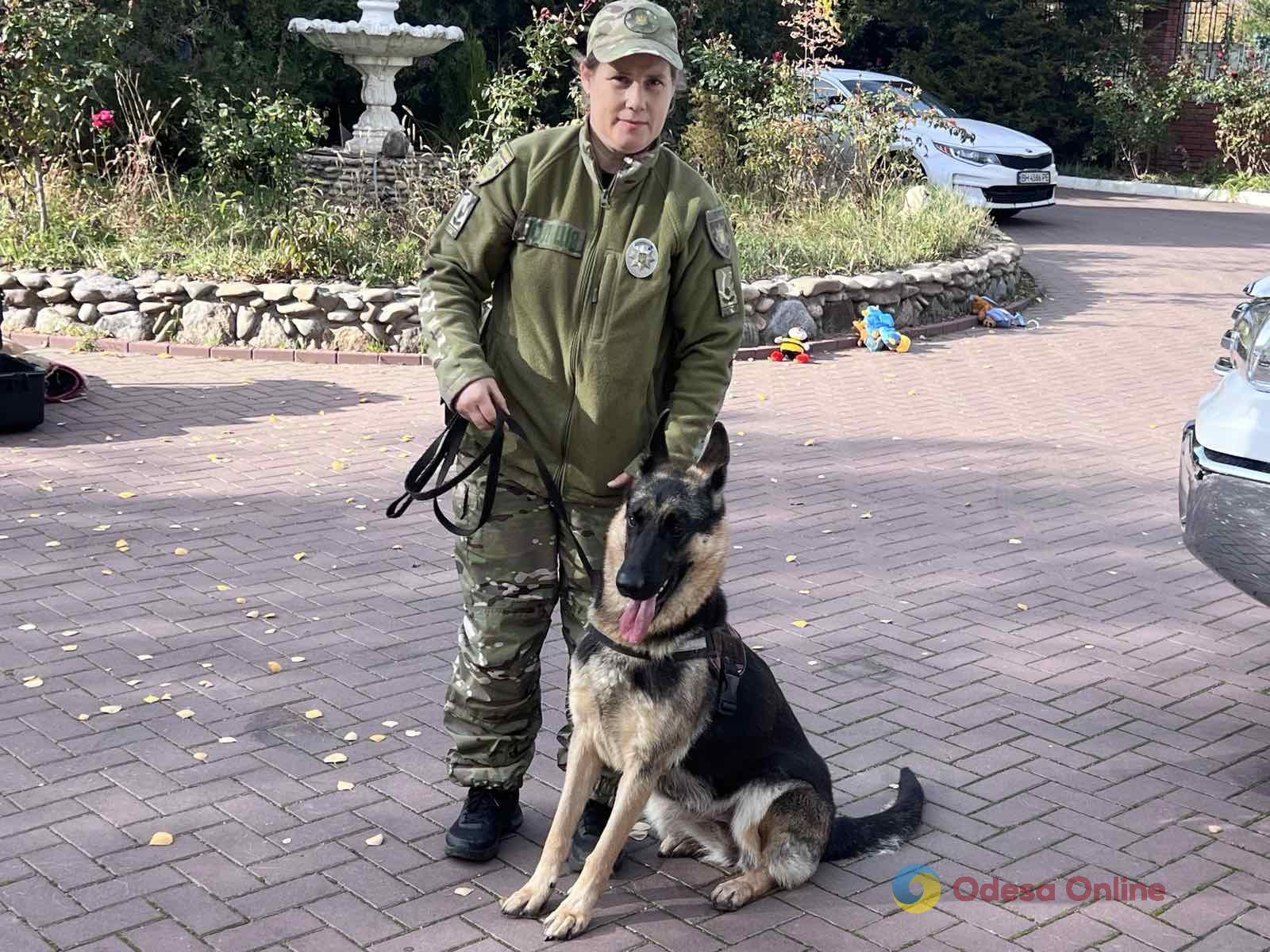 Поліцейські собаки, які лікують душі: у кінологічному центрі Одещини допомагають відновлювати спокій і віру в життя