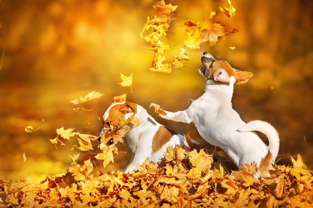 Без опадів та хмар: якою буде погода в Одесі та області 29 жовтня Без опадів та хмар: якою буде погода в Одесі та області 29 жовтня