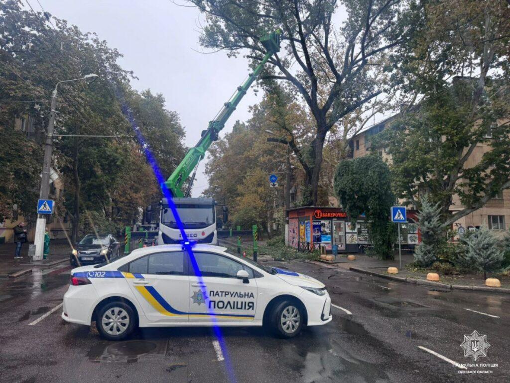 В Одесі тимчасово перекрили рух через падіння аварійного дерева