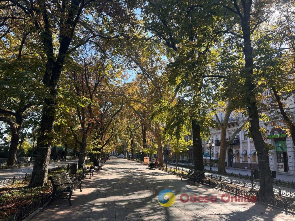 Гербарій кольорів і настроїв: в Одесі остаточно запанувала осінь
