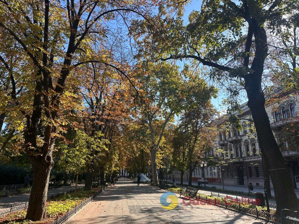 Гербарій кольорів і настроїв: в Одесі остаточно запанувала осінь