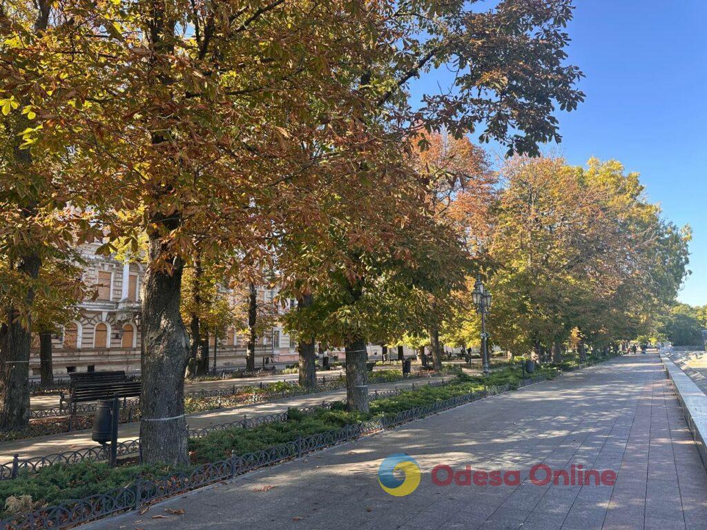 Гербарій кольорів і настроїв: в Одесі остаточно запанувала осінь