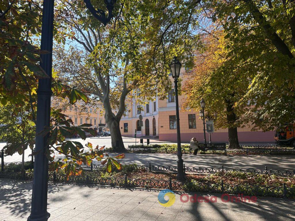 Гербарій кольорів і настроїв: в Одесі остаточно запанувала осінь