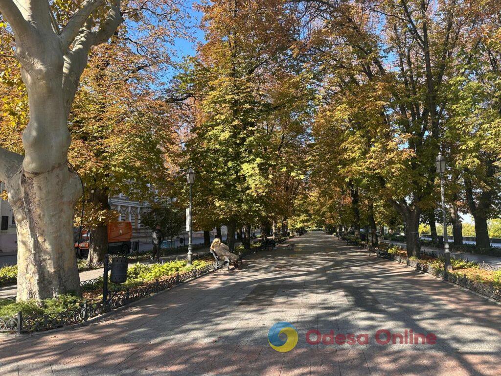 Гербарій кольорів і настроїв: в Одесі остаточно запанувала осінь