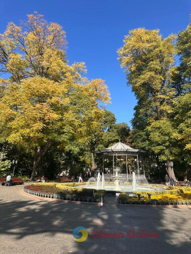 Гербарій кольорів і настроїв: в Одесі остаточно запанувала осінь