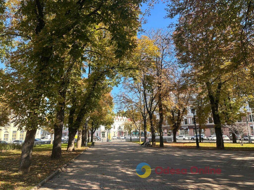 Гербарій кольорів і настроїв: в Одесі остаточно запанувала осінь