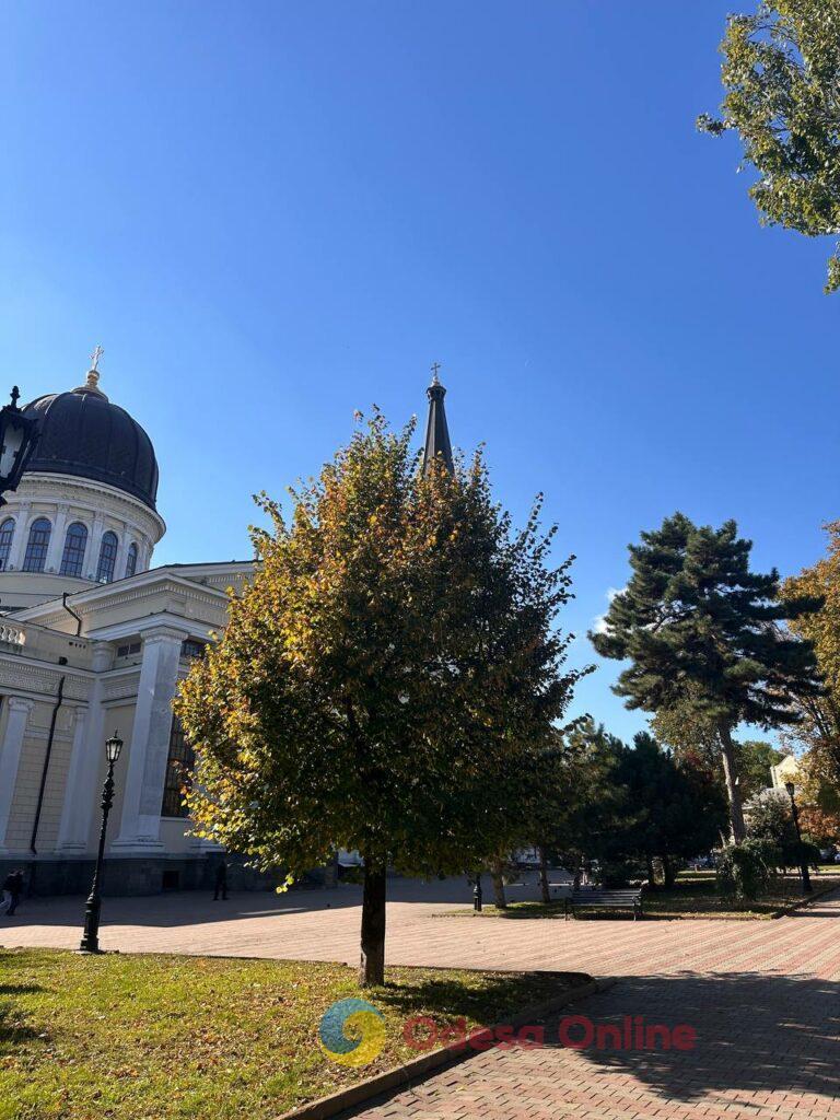 Гербарій кольорів і настроїв: в Одесі остаточно запанувала осінь