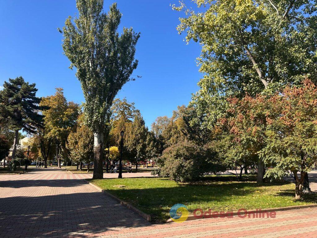 Гербарій кольорів і настроїв: в Одесі остаточно запанувала осінь