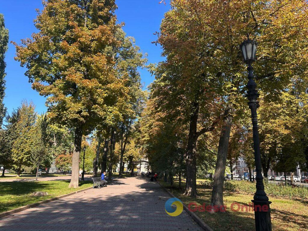 Гербарій кольорів і настроїв: в Одесі остаточно запанувала осінь