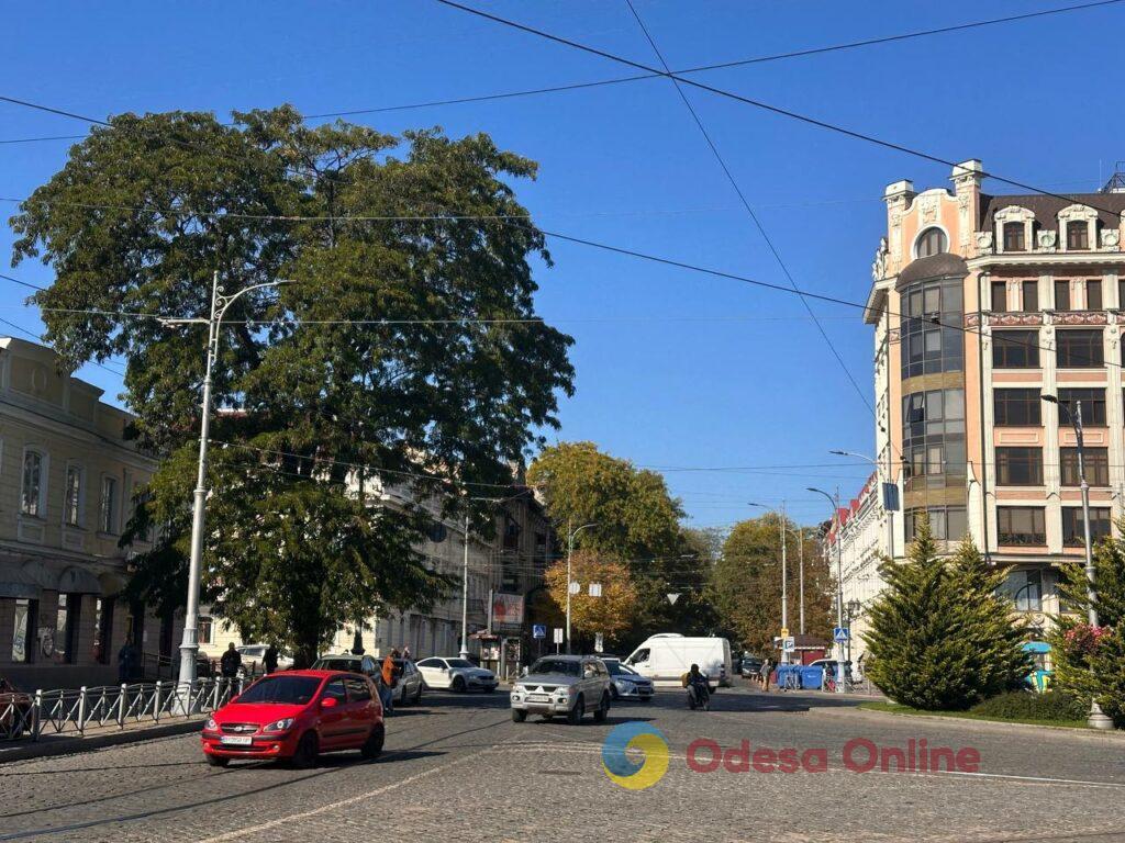 Гербарій кольорів і настроїв: в Одесі остаточно запанувала осінь