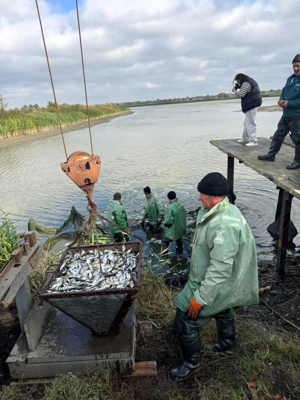 В Одесской области началось зарыбление озёр Ялпуг и Кугурлуй (фото) В Одесской области началось зарыбление озёр Ялпуг и Кугурлуй (фото)