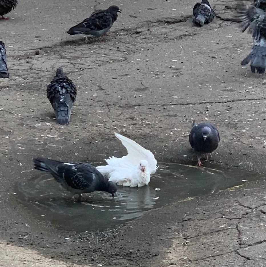 Синоптики сообщили, какой будет погода в Одессе и области 30 октября Синоптики сообщили, какой будет погода в Одессе и области 30 октября