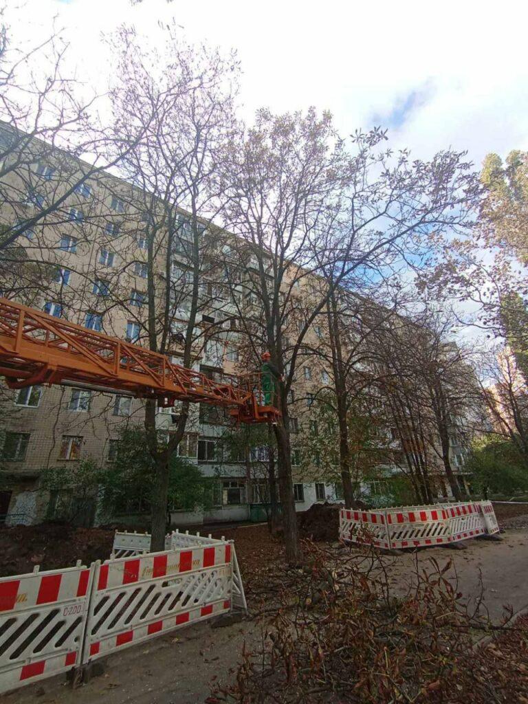 Понад тисячу аварійних дерев знесли в Одесі з початку року