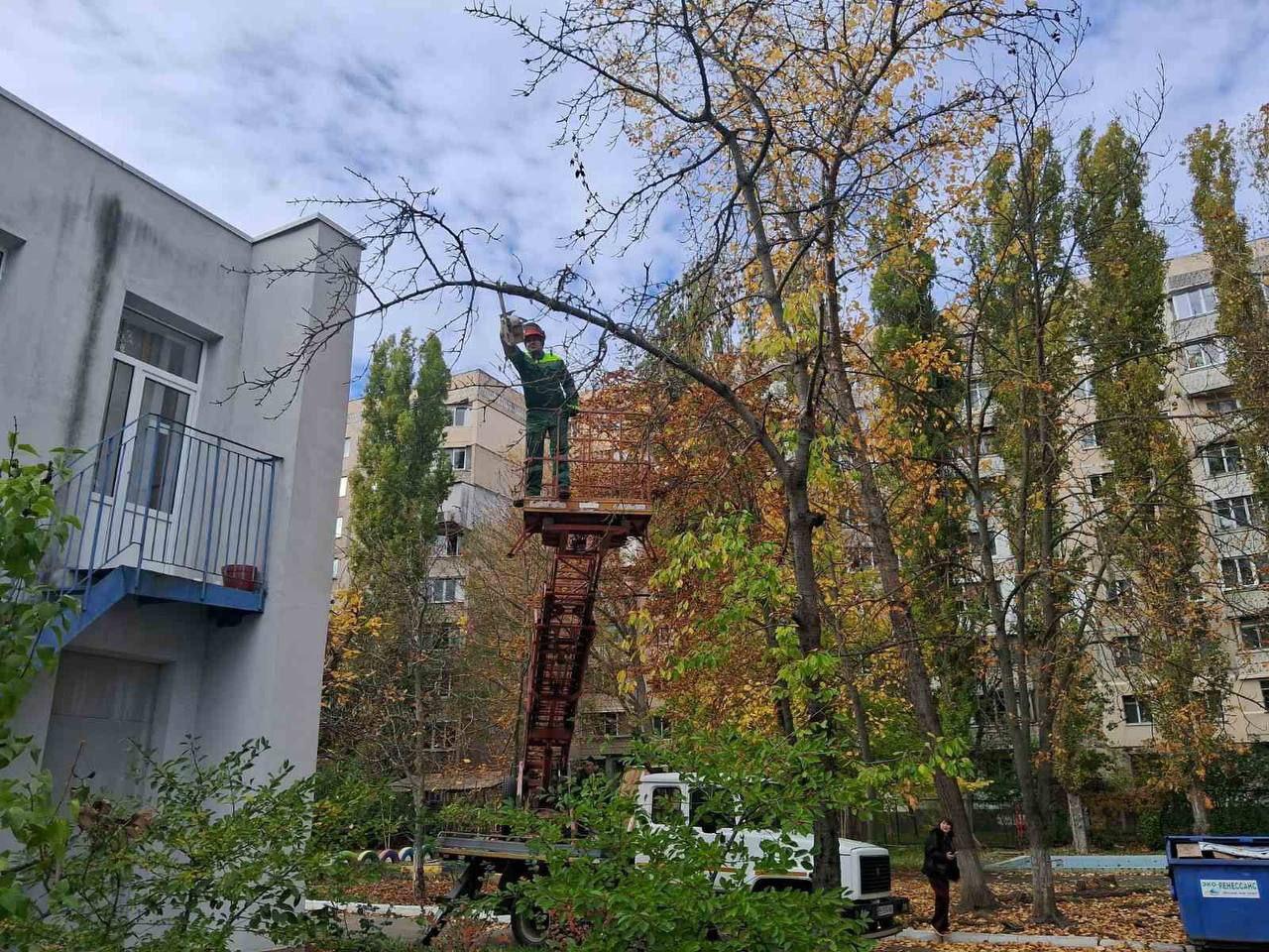 Понад тисячу аварійних дерев знесли в Одесі з початку року