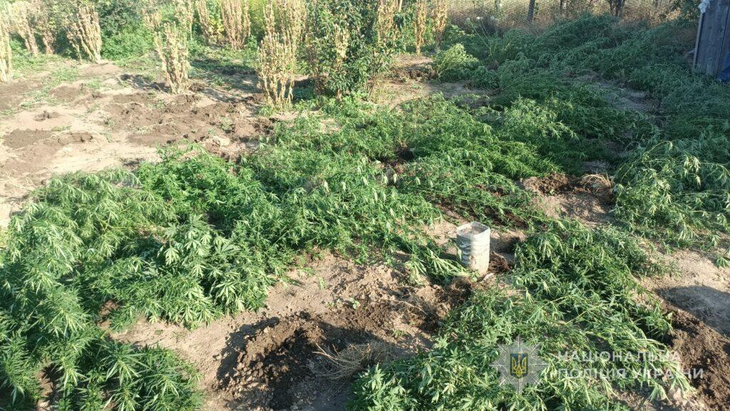 Помстився матері, спаливши її майно: житель Одещини отримав вирок суду