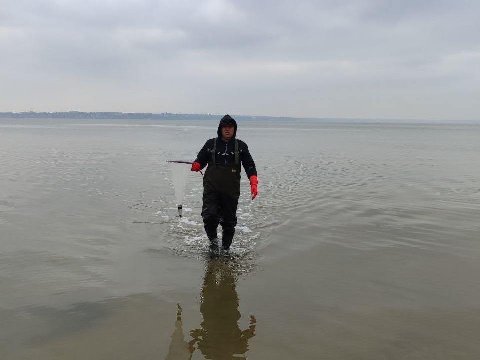 На Хаджибейском лимане зафиксировали падение уровня воды и рост минерализации