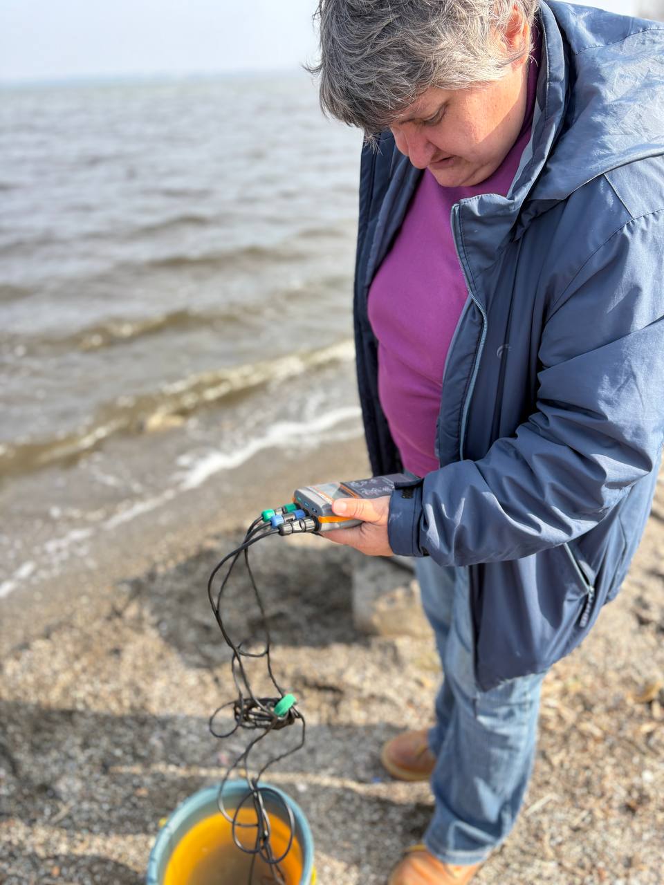 На Хаджибейском лимане зафиксировали падение уровня воды и рост минерализации