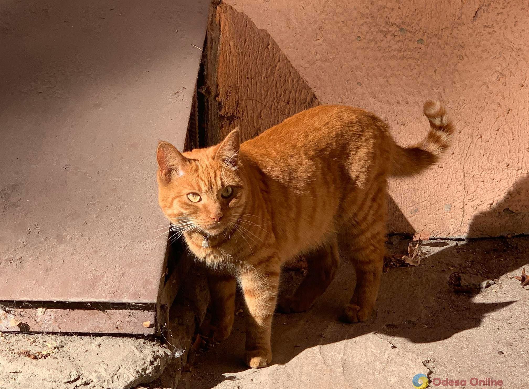 Какой будет погода в Одессе и области 2 ноября