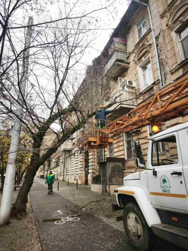 Понад півтори тисячі аварійних дерев знесли в Одесі з початку року Более полутора тысяч аварийных деревьев снесли в Одессе с начала года