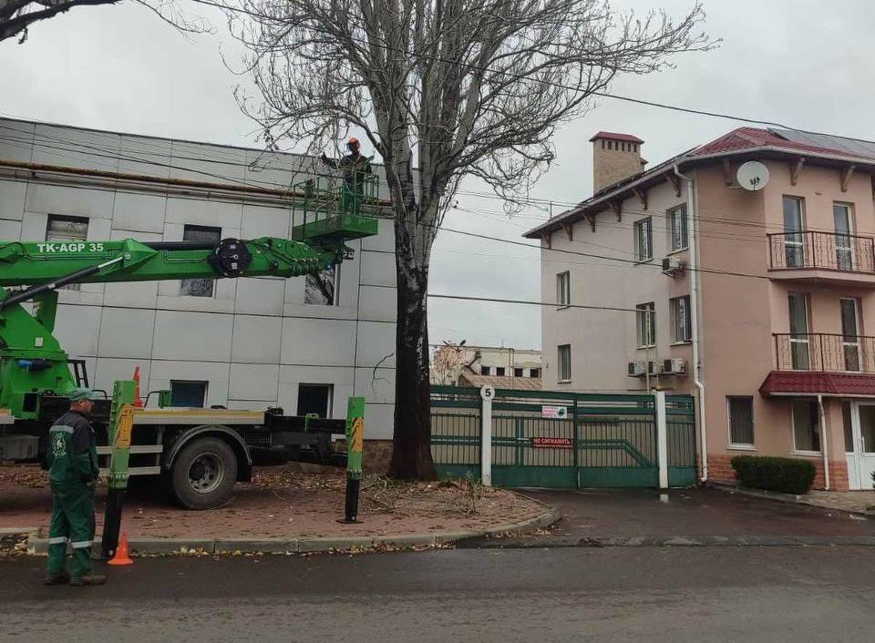 Понад півтори тисячі аварійних дерев знесли в Одесі з початку року Более полутора тысяч аварийных деревьев снесли в Одессе с начала года