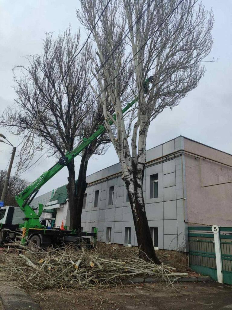 Понад півтори тисячі аварійних дерев знесли в Одесі з початку року Более полутора тысяч аварийных деревьев снесли в Одессе с начала года