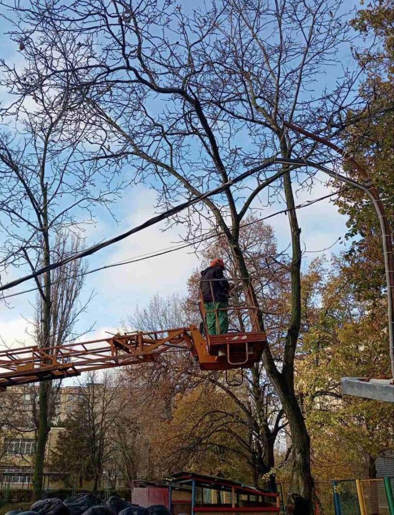 Понад півтори тисячі аварійних дерев знесли в Одесі з початку року Более полутора тысяч аварийных деревьев снесли в Одессе с начала года