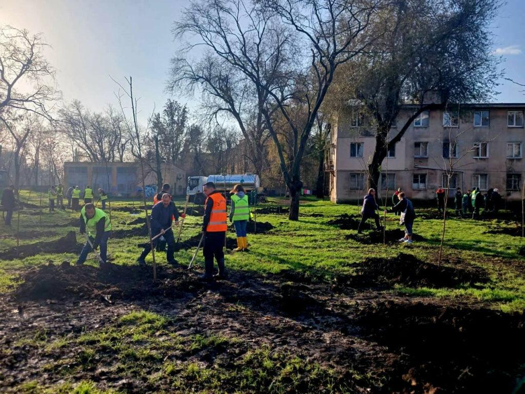 Близько 300 молодих дерев висадили в Азербайджанському парку в Одесі Около 300 молодых деревьев высадили в Азербайджанском парке в Одессе