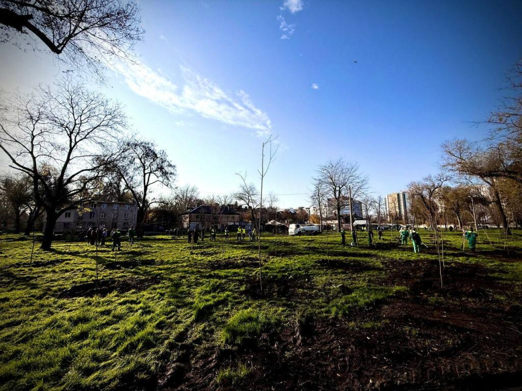 Близько 300 молодих дерев висадили в Азербайджанському парку в Одесі Около 300 молодых деревьев высадили в Азербайджанском парке в Одессе