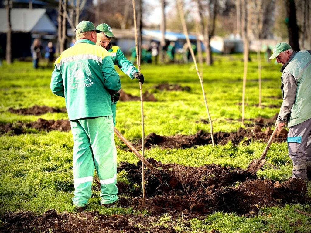 Близько 300 молодих дерев висадили в Азербайджанському парку в Одесі Около 300 молодых деревьев высадили в Азербайджанском парке в Одессе
