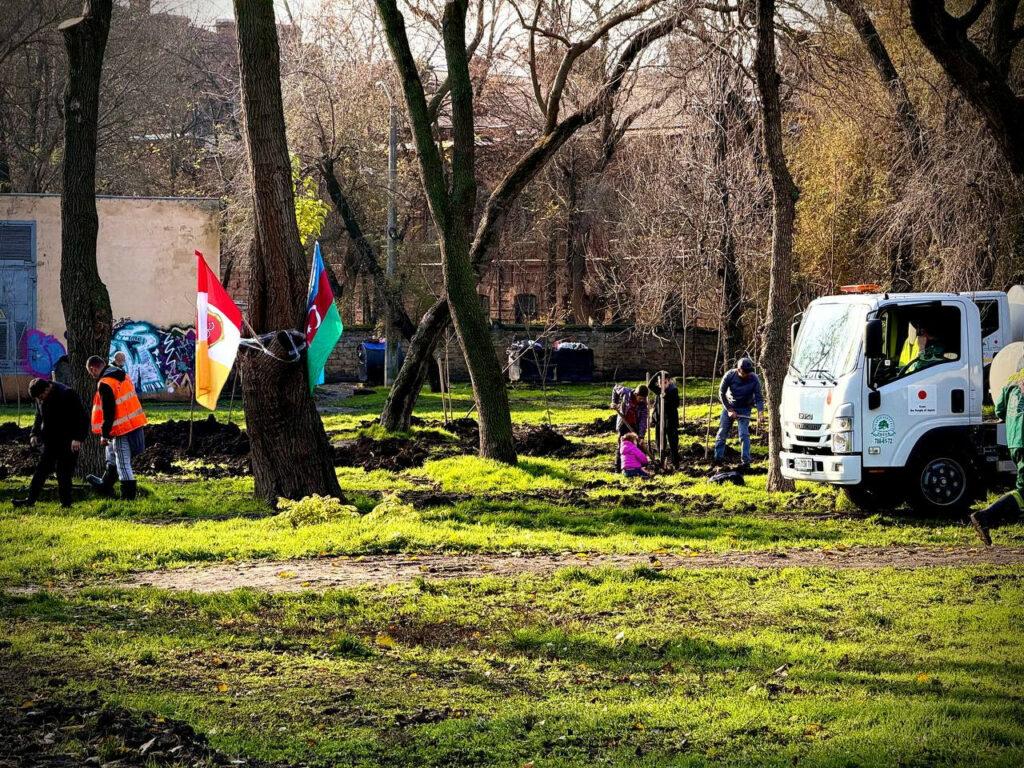 Близько 300 молодих дерев висадили в Азербайджанському парку в Одесі Около 300 молодых деревьев высадили в Азербайджанском парке в Одессе