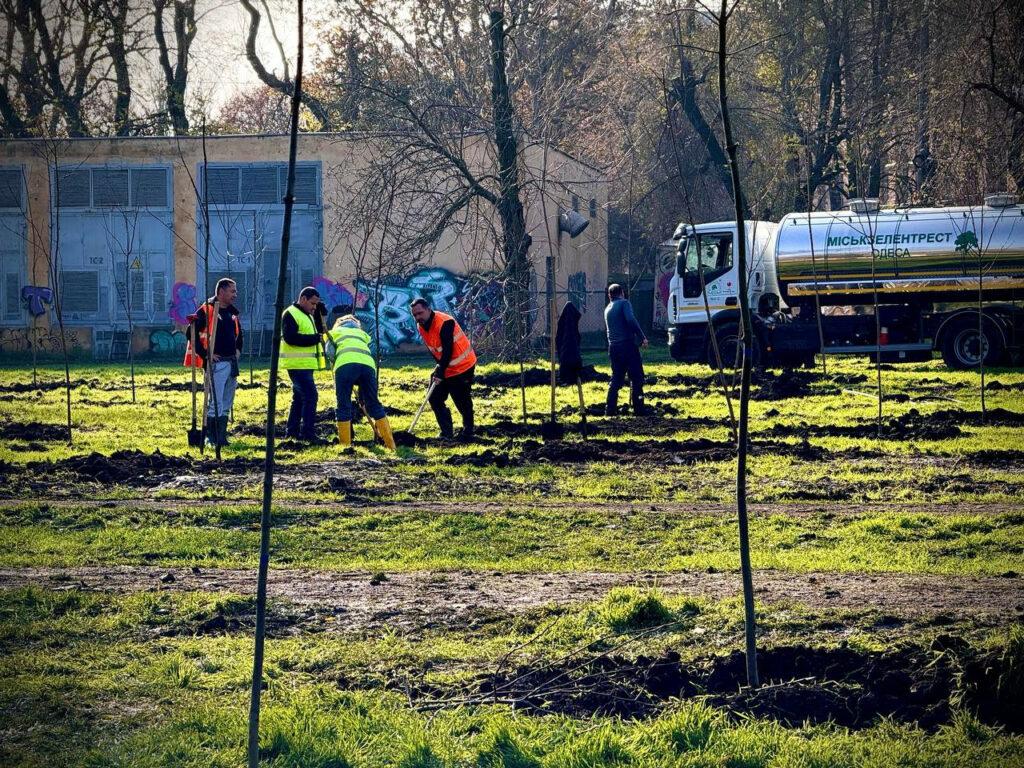 Близько 300 молодих дерев висадили в Азербайджанському парку в Одесі Около 300 молодых деревьев высадили в Азербайджанском парке в Одессе