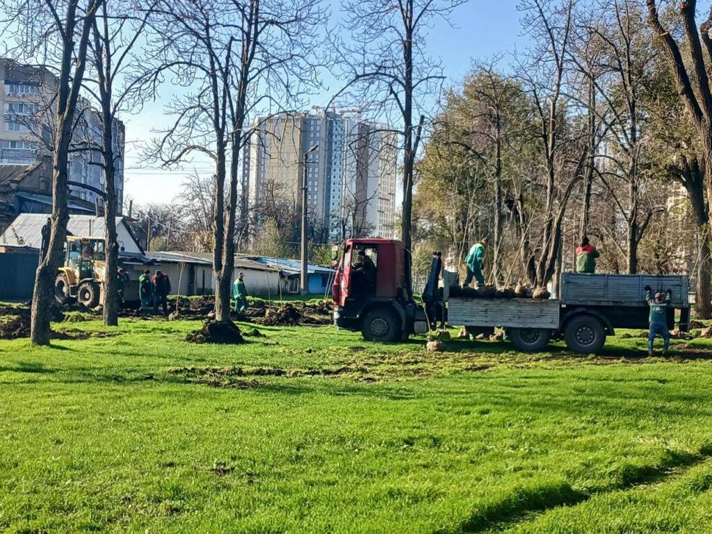 Близько 300 молодих дерев висадили в Азербайджанському парку в Одесі Около 300 молодых деревьев высадили в Азербайджанском парке в Одессе
