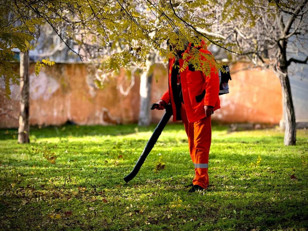 Близько 300 молодих дерев висадили в Азербайджанському парку в Одесі Около 300 молодых деревьев высадили в Азербайджанском парке в Одессе