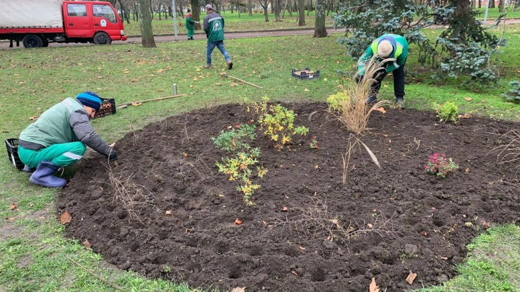 Квіткове серце в кольорах прапору прикрасить навесні один із парків Одеси
