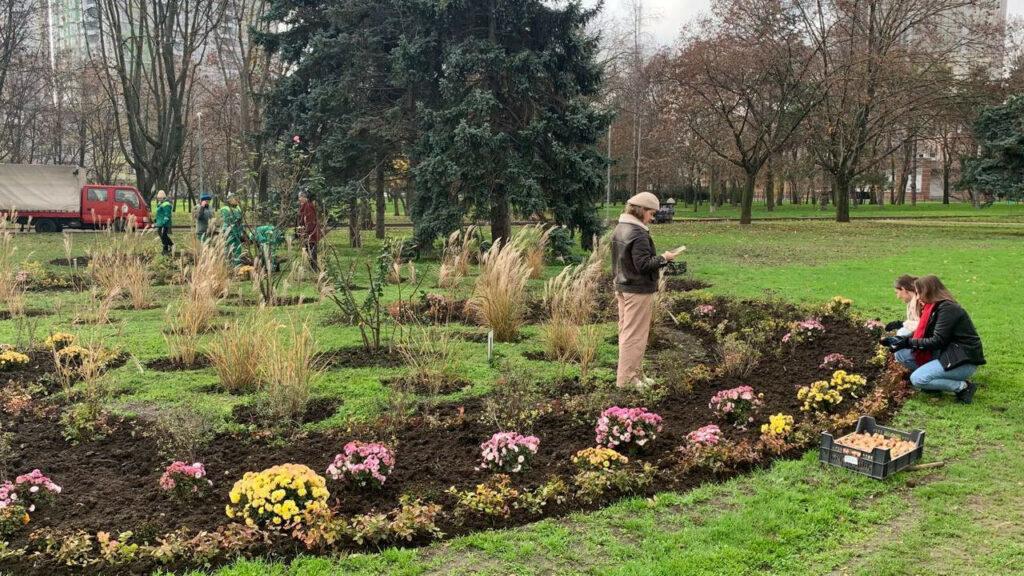 Квіткове серце в кольорах прапору прикрасить навесні один із парків Одеси