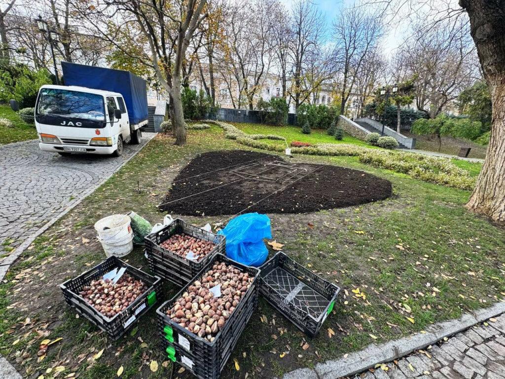 Квіткове серце в кольорах прапору прикрасить навесні один із парків Одеси