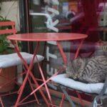 Одесская область – в пятерке лидеров по количеству новых фопов в сфере кафе и ресторанов