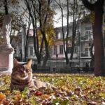 Какой будет погода в Одессе и области 27 ноября