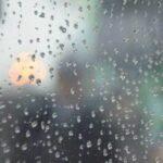 Какой будет погода в Одессе и области 20 ноября