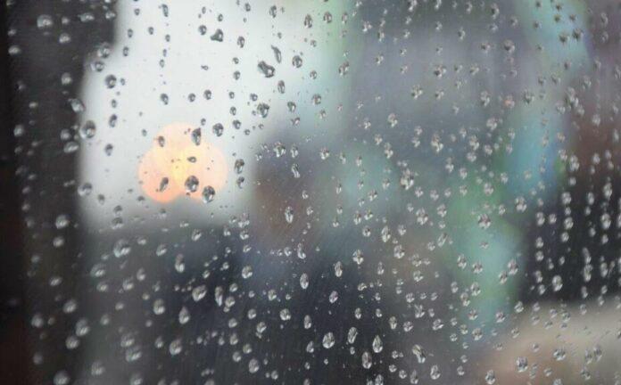 Якою буде погода в Одесі та області 20 листопада