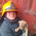 В Одессе спасли двух щенков, застрявших между гаражами