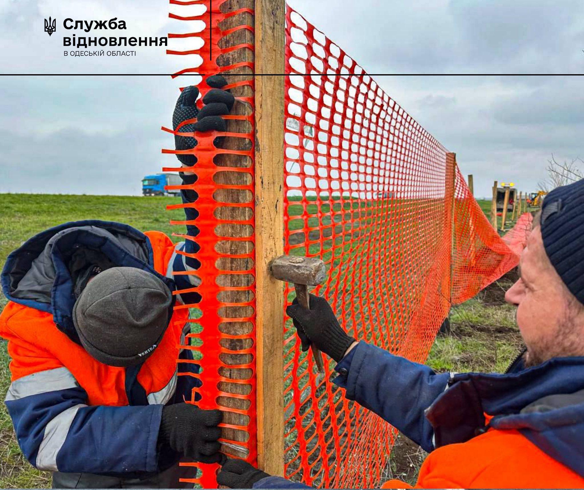 На Одещині влаштовують систему захисту доріг від снігових заметів (фото)