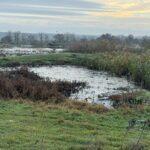 Масштабное загрязнение земель канализационными стоками обнаружили в Одесской области